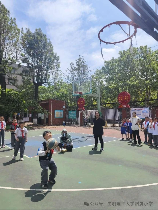 如何通过数据分析优化篮板训练效果？_1